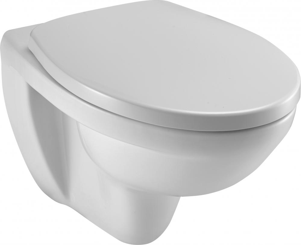 Подвесной унитаз Jacob Delafon Patio EDV102-00 безободковый (белый)