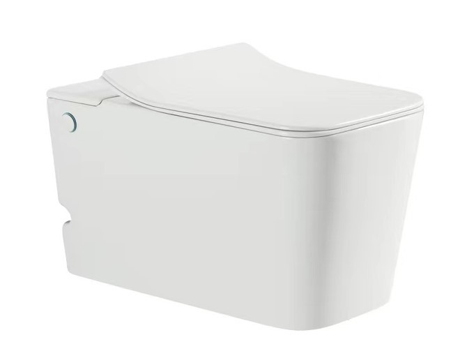 Подвесной унитаз SantiLine SL-5032 безободковый (белый)