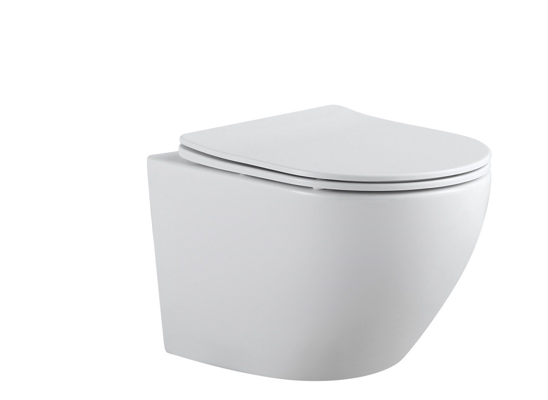 Подвесной унитаз Aquanet Cetus 2.0 W LX-1901 безободковый (белый)