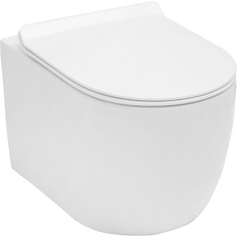 Подвесной унитаз Aquanet  Cetus-W BL-102N-WHT безободковый (белый)
