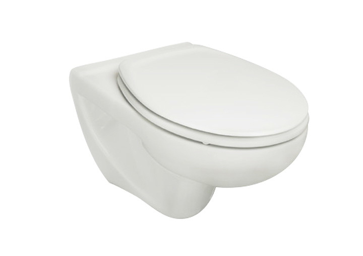 Подвесной унитаз Roca Victoria 34630300R (белый)