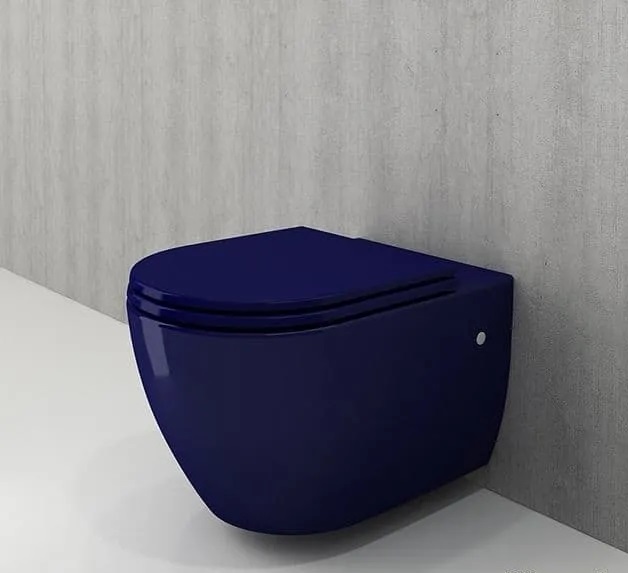 Подвесной унитаз Bocchi Speciale XL 1167-010-0129 (синий)