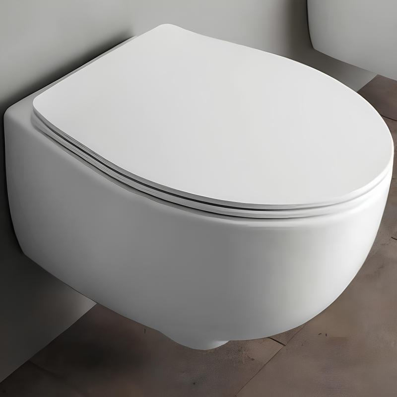 Подвесной унитаз Simas Bormio BR18bi безободковый (белый)