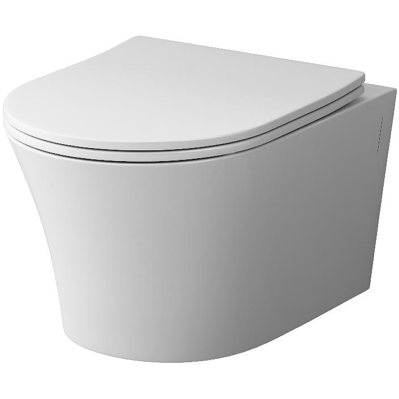 Подвесной унитаз Damixa Skyline DX35C1700SC безободковый (белый)