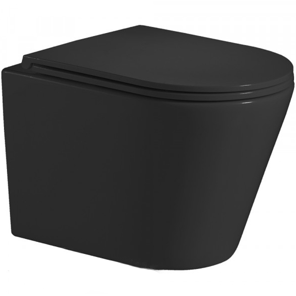 Подвесной унитаз WeltWasser Salzbach 004 MT-BL 10000003700 (черный матовый)