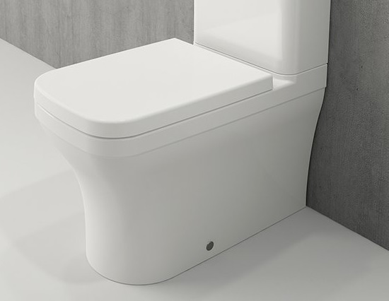 Напольный унитаз Bocchi Scala Arch 1133-001-0129 (белый) чаша