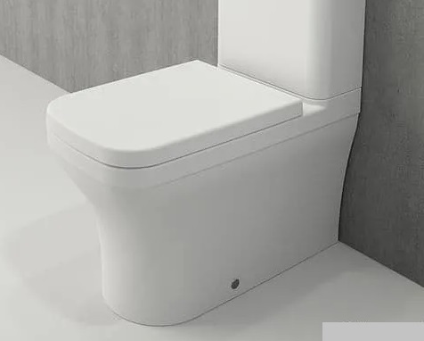 Напольный унитаз Bocchi Scala Arch 1133-002-0129 (белый матовый) чаша