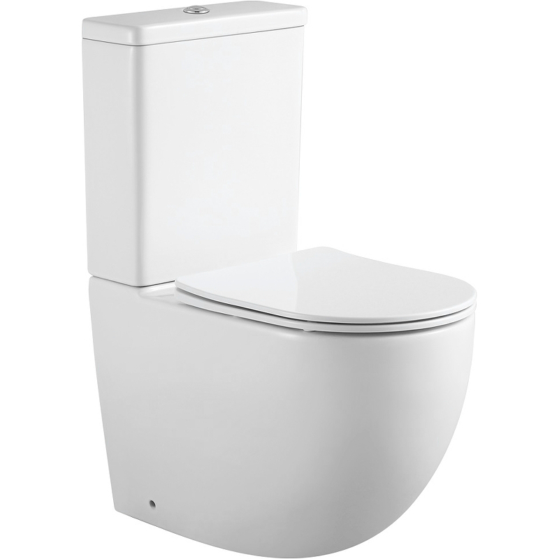 Напольный унитаз Aquanet Cetus 2.0 C1 LX-2903 безободковый (белый) чаша