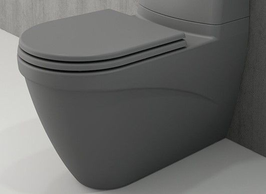 Напольный унитаз Bocchi Taormina Arch 1017-006-0129 (серый матовый) чаша