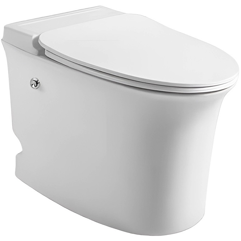 Приставной унитаз Cerutti SPA Nautilus Pulse CT10200 безободковый (белый)