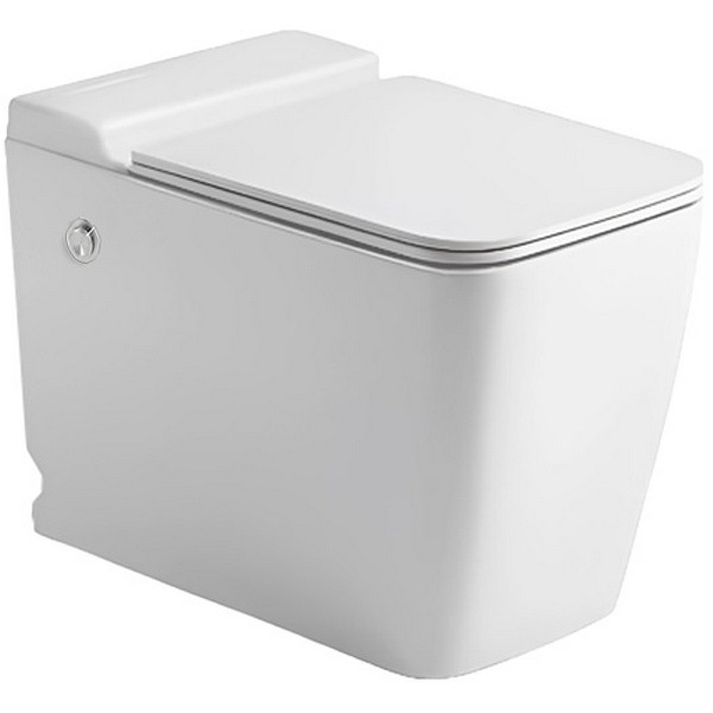 Приставной унитаз Cerutti SPA Maiella Pulse CT10196 безободковый (белый)