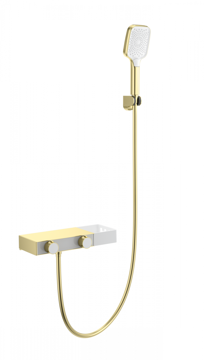 Смеситель для ванны с душем Wonzon & Woghand Shelf WW-B2551-BG (брашированное золото)