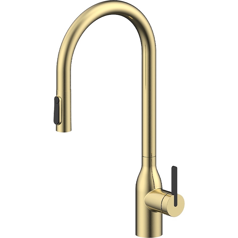 Смеситель для кухни Paulmark Universal Un213880-SBG (светлое брашированное золото)