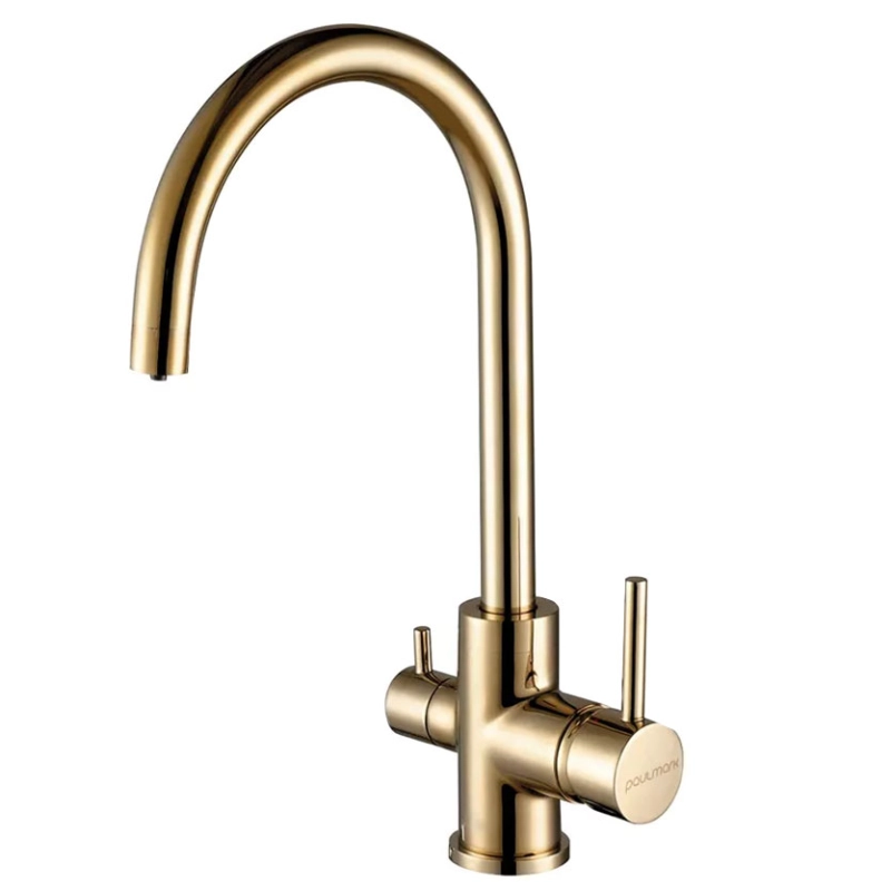 Смеситель для кухни Paulmark Essen ES213211-G (золото)