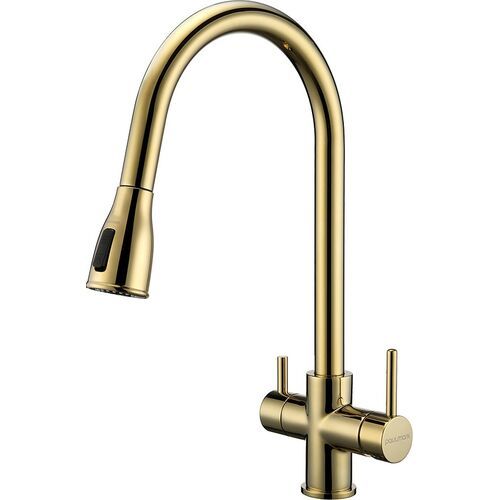 Смеситель для кухни Paulmark Lange La214212-G (золото)