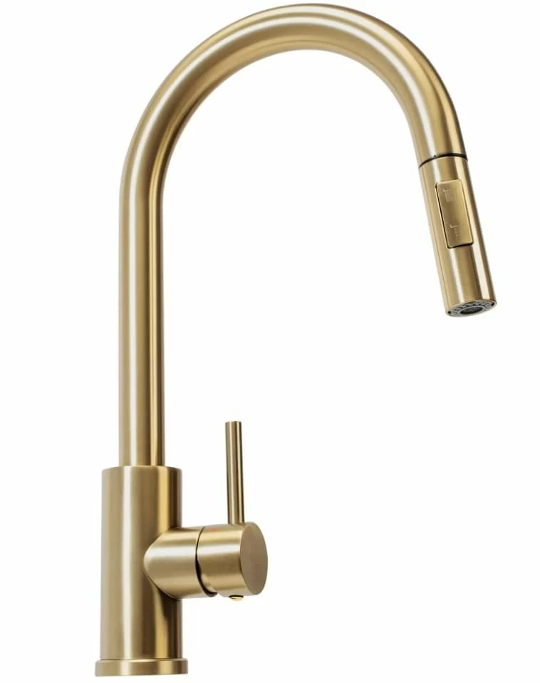 Смеситель для кухни Rea Fresh REA-B9148 (золото матовое)