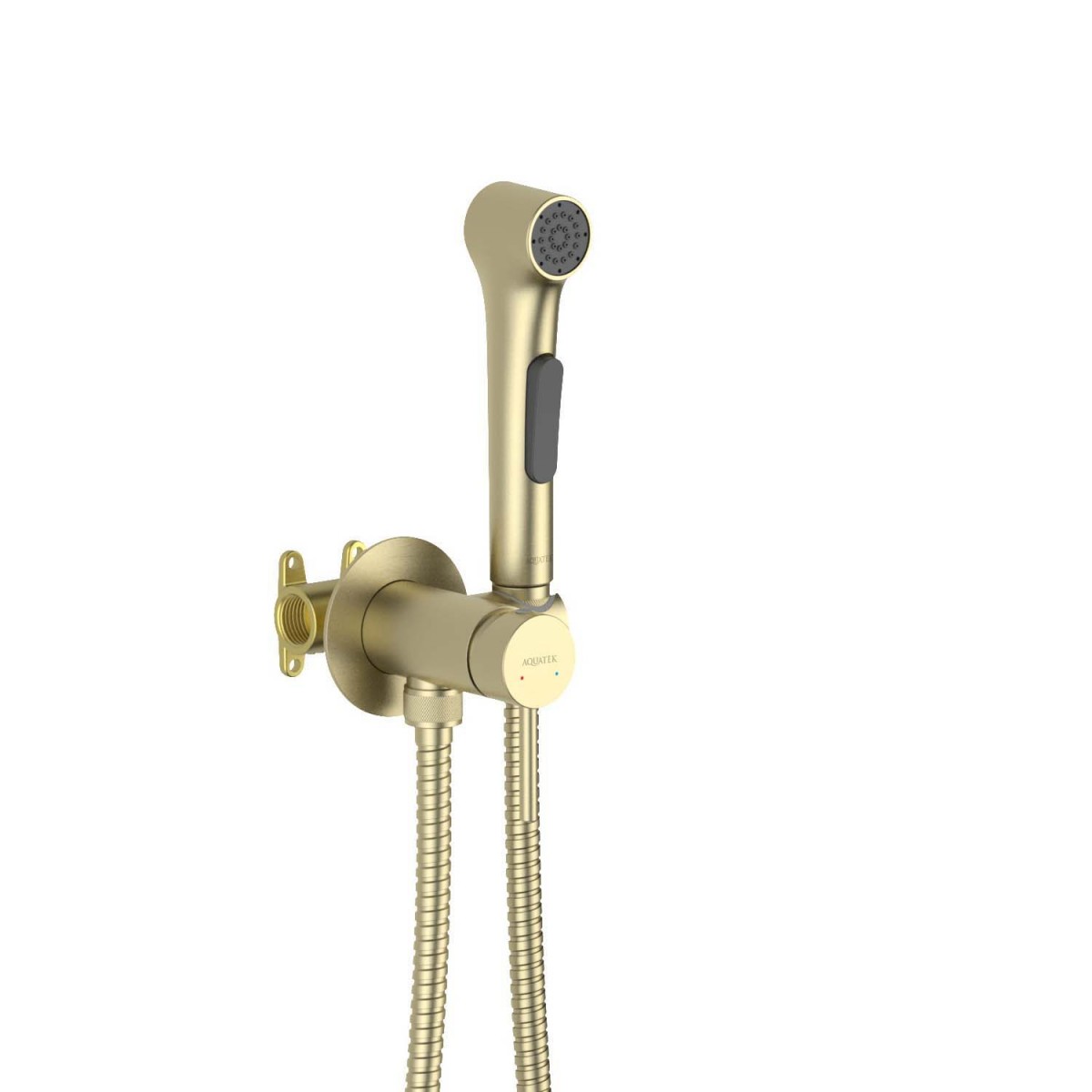 Гигиенический душ со смесителем Aquatek Европа AQ1020BG (шлифованное золото)