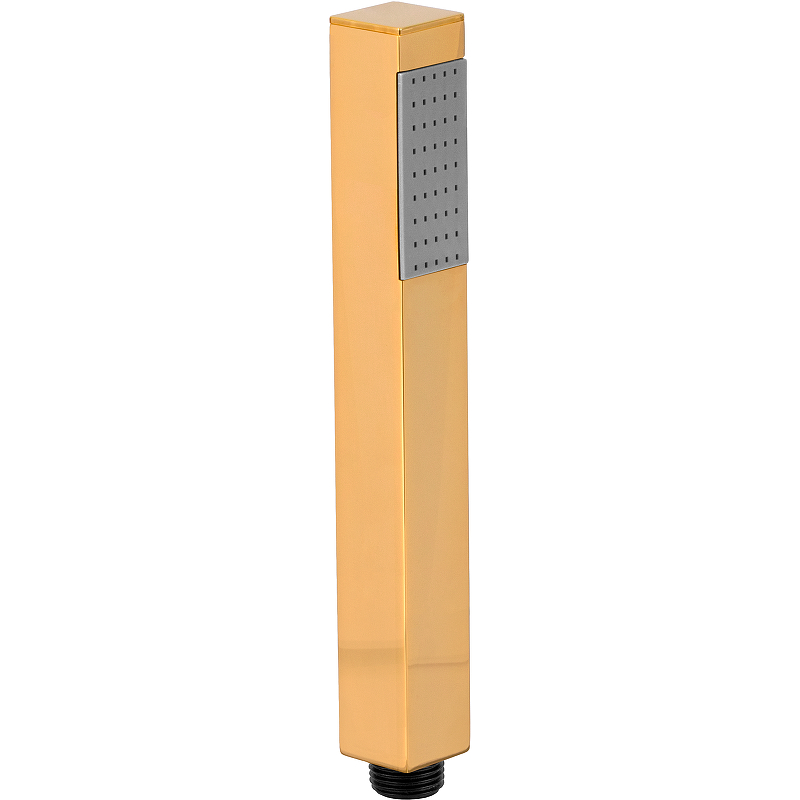 Душевая лейка Remer 317SSDOx  (золото)