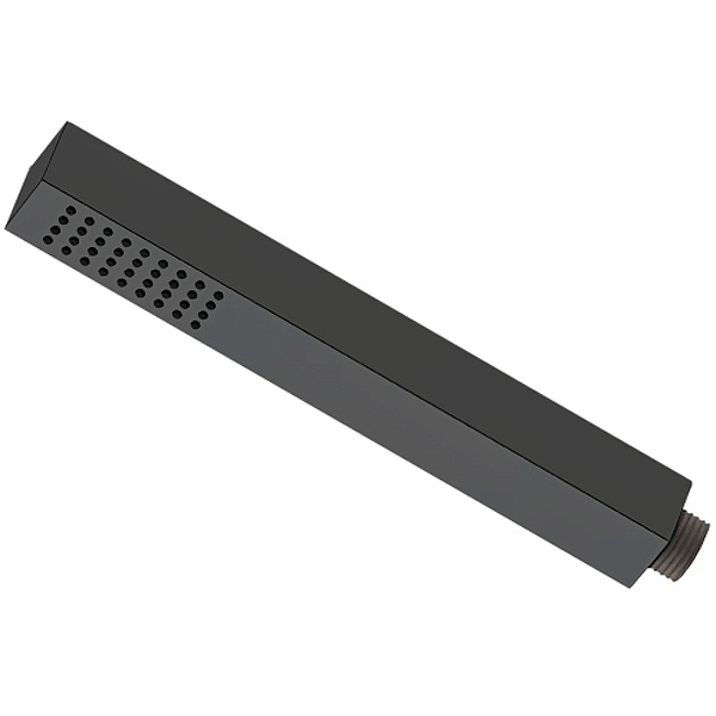 Душевая лейка Remer 317SDNOX (черный матовый)