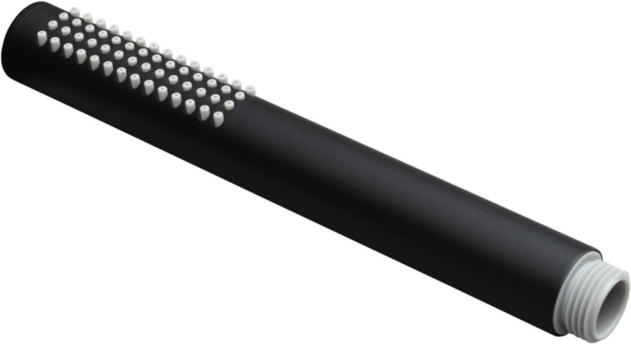 Душевая лейка Allen Brau Priority 5.31020-31 (черный матовый)