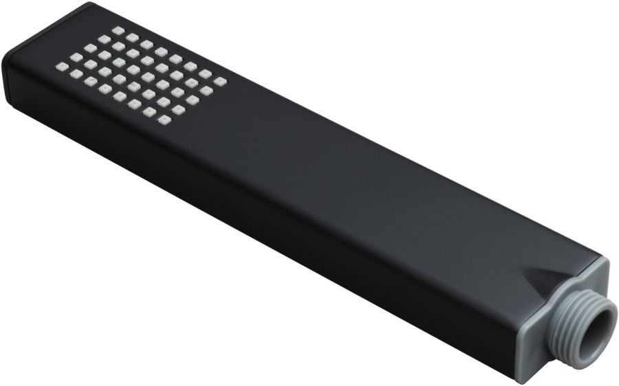 Душевая лейка Allen Brau Infinity 5.21022-31 (черный матовый)