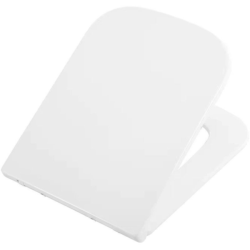 Крышка-сиденье для унитаза BelBagno ARDENTE-R BB2322SC (белый) soft close
