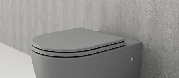 Крышка-сиденье для унитаза Bocchi Speciale XL A0320-006 (серый матовый) soft close