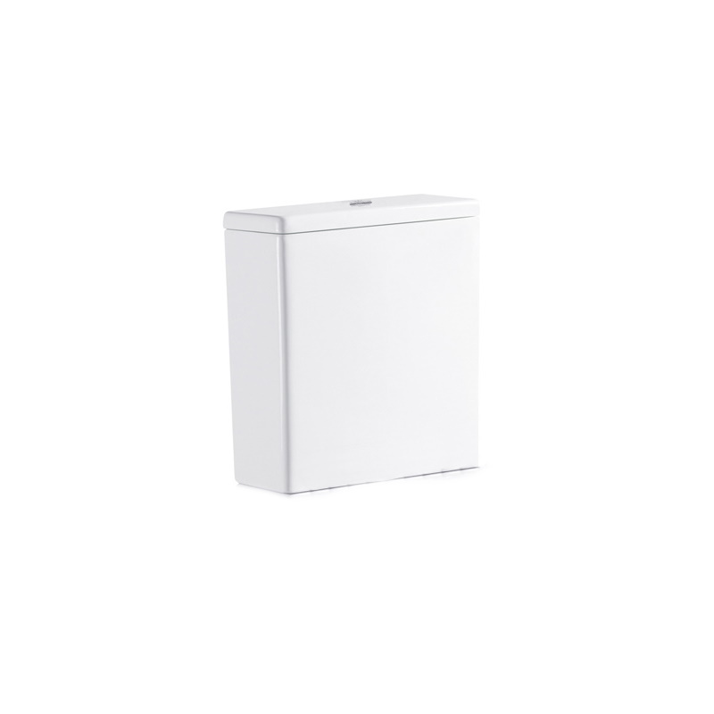 Бачок для унитаза Bravat Gina CY01008XW-PA-ENG (белый)