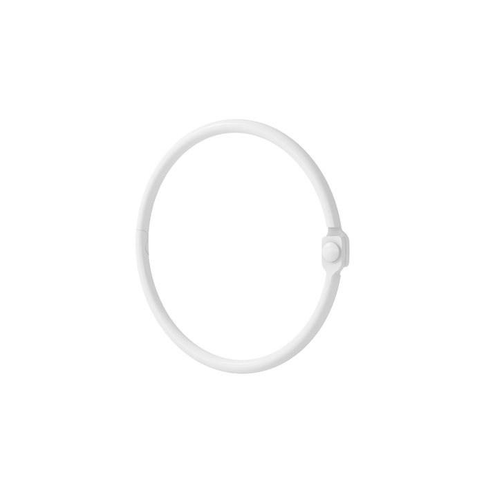 Кольца для шторы Elegante RM02WHOi15 (белый матовый)