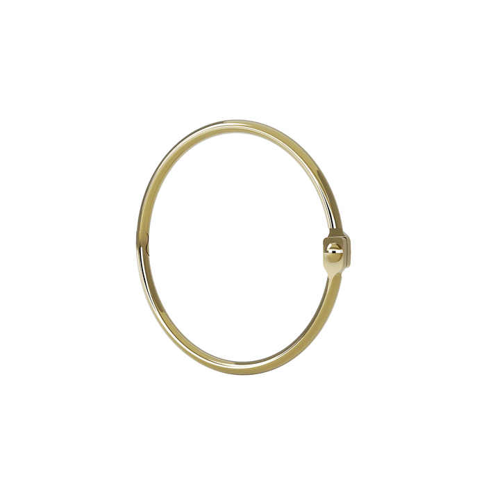 Кольца для шторы Elegante RM04GLOi15 (золото матовое)