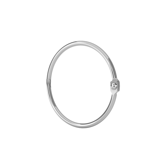 Кольца для шторы Elegante RM03CHOi15 (хром)