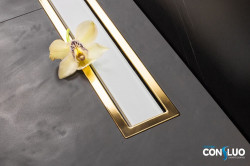 Душевой лоток Pestan Confluo Premium Line White Glass Gold 13100123 750 мм (белый/золото)